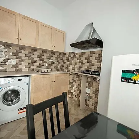 Lovely One-bedroom Flat In 公寓